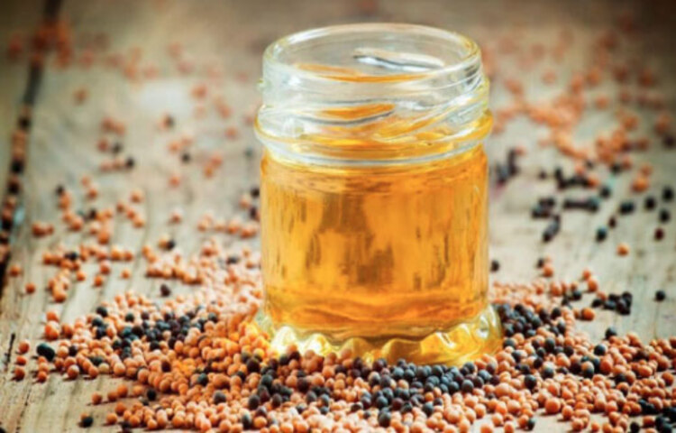 এক সময়ে শিশুদের সরিষার তেল মাখিয়ে রোদে রাখা হতো, এখন অনেকেই বেছে নেন বিভিন্ন ধরনের লোশন। নিয়মিত সরিষার তেল মাখলে অনেক জটিল সমস্যার মোকাবিলা দূর হবে।