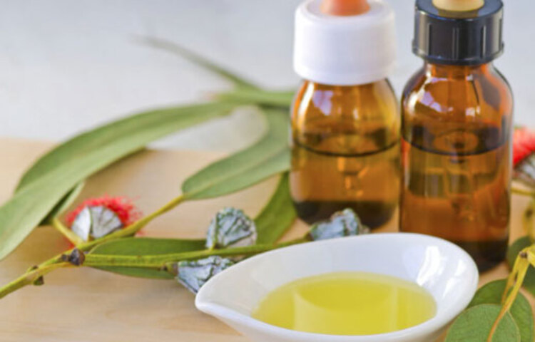 সরিষার তেল অ্যান্টি ব্যাকটেরিয়াল ও অ্যান্টি ফাঙ্গাল উপাদানে ভরপুর, অ্যালার্জি ও র‌্যাশ প্রতিরোধ করে। ত্বকের শুষ্কতা ও চুলকানি রুখতেও সর্ষের তেল কার্যকরী।