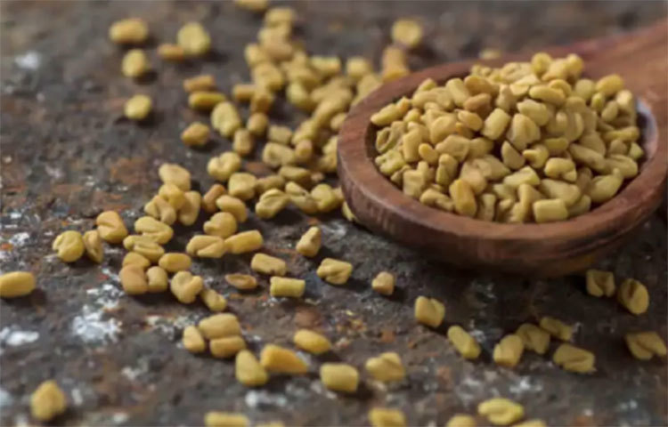 অ্যান্টাসিডের কাজ করে: যাদের হজম সমস্যা আছে, মেথি ভেজানো জল ও ভিজে মেথি সকালে উঠে খালি পেটে রোজ খান। পেটের সমস্যা নিয়ে ভাবতে হবে না।