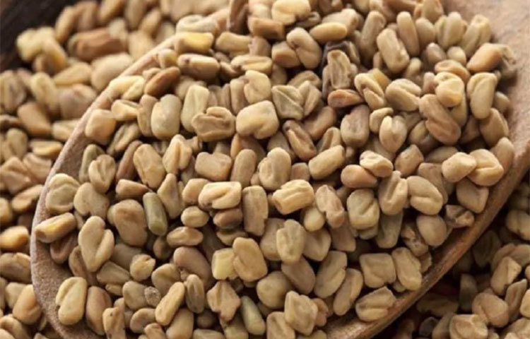 ডায়াবেটিস নিয়ন্ত্রণে রাখে: ব্লাড সুগার নিয়ন্ত্রণের মেথি খুবই কার্যকরী। আগের দিন রাতে এক কাপ পানিতে কিছু মেথি দানা ভিজিয়ে রেখে দিন। সকালে উঠে জল ও মেথি দানাগুলো খেয়ে নিন খালি পেটে।