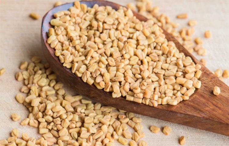 ডায়াবেটিস নিয়ন্ত্রণে রাখে: ব্লাড সুগার নিয়ন্ত্রণের মেথি অব্যর্থ। আগের দিন রাতে এককাপ জলে কিছু মেথি দানা ভিজিয়ে রেখে দিন। সকালে উঠে জল ও মেথি দানাগুলো খেয়ে নিন খালি পেটে।