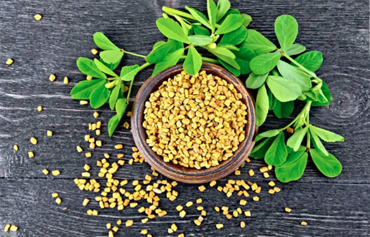 কোলেস্টেরল কমায়: শরীরে কোলেস্টেরলের মাত্রা নিয়ন্ত্রণে রাখে মেথি। কোলেস্টেরল বেড়ে গেলে কমিয়ে দেয়।