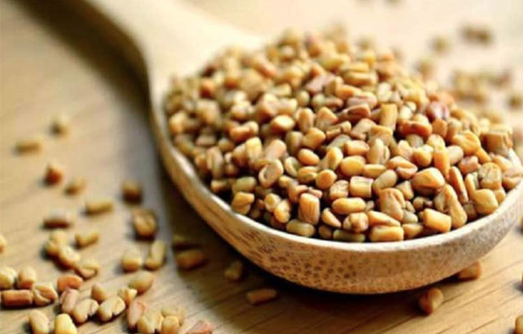 ওজন কমায়: মেথি মেদ ঝরাতেও সাহায্য করে। খালি পেটে মেথি ভেজানো পানি খেলে মেটাবলিজম বেড়ে যায়। ফলে শরীরে বাড়তি মেদ জমে না।