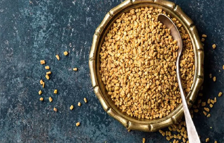 ওজন কমায়: মেথি মেদ ঝরাতেও সাহায্য করে। খালি পেটে মেথি ভেজানো জল খেলে মেটাবলিজম বেড়ে যায়। ফলে শরীরে বাড়তি মেদ জমে না।