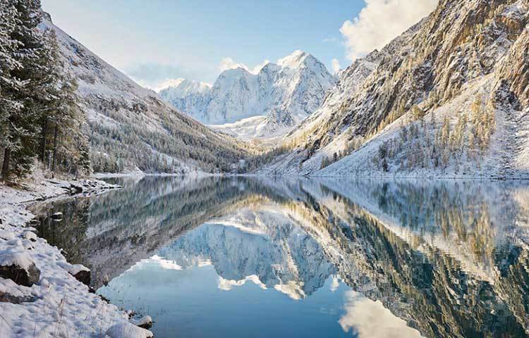 পৃথিবীর বুকে জমে থাকা বরফ পরিবেশে কার্বন ডাই অক্সাইড গ্যাসের পরিমাণ নিয়ন্ত্রণ করে। কারণ এগুলো কার্বন গ্যাস শোষণ করে নেয়।