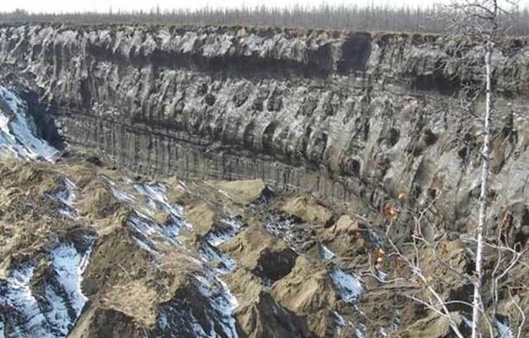 এই দুটোই গ্রিনহাউস গ্যাস। গ্রিনহাউস গ্যাস পরিবেশের তাপমাত্রা আরও বাড়িয়ে তুলছে এবং ফল হিসেবে আরো বেশি পরিমাণ গ্যাস পরিবেশে মুক্ত হতে সাহায্য করছে। সমগ্রিক ভাবে যার ক্ষতিকর প্রভাব ইতিমধ্যেই সাইবেরিয়ার ওই অঞ্চলে পড়তে শুরু করেছে বলে জানাচ্ছেন বিজ্ঞানীরা।