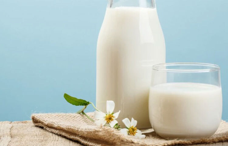 দুধ একটি পুষ্টিকর ও সুস্বাদু খাবার। তবে কেউ কেউ এটি খেতে পছন্দ করেন না। কিন্তু  সুস্বাস্থ্যের জন্য এটি নিয়মিত পান করা উচিত। ছবি: সংগৃহীত