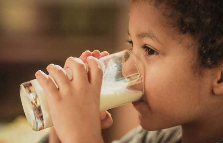 শিশুরা অনেকেই দুুধ পছন্দ করে না। তবে সুন্দরভাবে বেড়ে ওঠার জন্য শিশুদের দুধ পানের অভ্যাস তৈরি করতে হবে। ছবি: সংগৃহীত