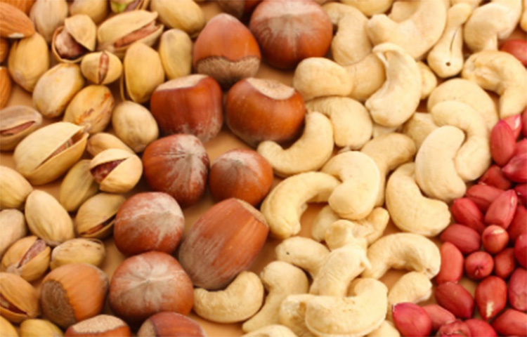 বাদাম: নানান ধরনের বাদাম রয়েছে। আখরোটও খেতে পারেন। এছাড়াও কাজু বাদাম, পেস্তা বাদাম, কাঠ বাদাম, চিনা বাদামও খাওয়া খুব উপকারী। এই বাদামে রয়েছে প্রচুর পরিমাণে ভিটামিন ই, ভিটামিন সি, প্রোটিন, ক্যালসিয়াম, ম্যাগনেশিয়াম, আয়রন, ফাইবার, ফসফরাস, পটাশিয়াম, সোডিয়ামের মতো নানা কার্যকরী উপাদান। ছবি: সংগৃহীত