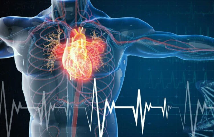 হৃদযন্ত্রের সমস্যা থেকে শরীরকে মুক্ত রাখে দুধ। এর পটাশিয়াম স্ট্রোকের বা হৃদযন্ত্রের অন্যতম অসুবিধা থেকে শরীরকে রক্ষা করে। ছবি: সংগৃহীত