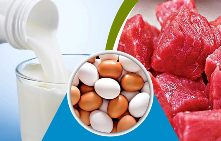 মাছ-মাংস-ডিম: শরীরে প্রোটিনের ঘাটতি মেটাতে মাছ-মাংস-ডিম খেতেই হবে। মাছ, মাংস, ডিম, চিকেন, বাদাম, দুধ, চিজ ডাল ওজন কমানোর জন্য সবচেয়ে উপকারী। সব রকম পুষ্টিগুণের পাশাপাশি এসেনশিয়াল অ্যামাইনো অ্যাসিডের জোগান পায় শরীর। ই ধরনের প্রোটিনে ডেয়ারি প্রোটিনের মতো প্রচুর পরিমাণ