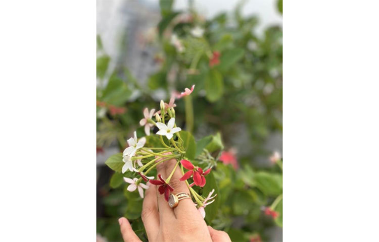 এ যেন পুষ্পের সাথে মিমের আলাপন।