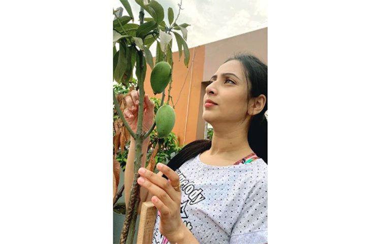 গভীর মনোযোগে আম দেখছেন মিম!