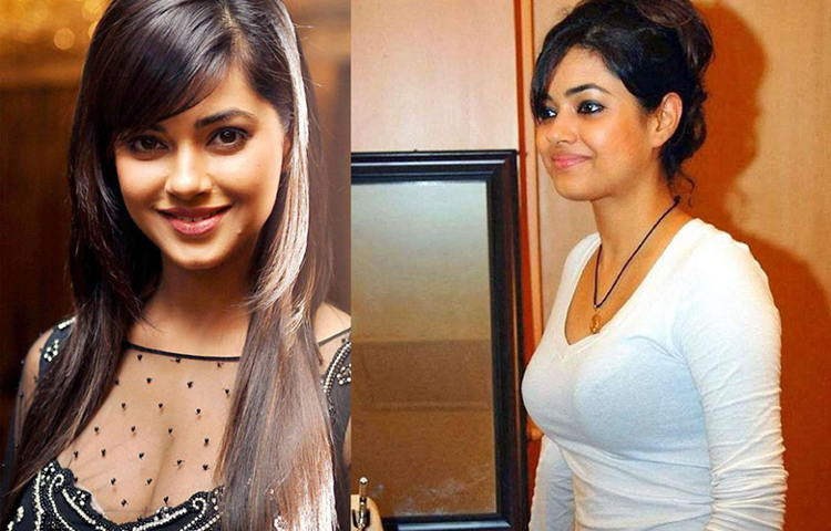 অতি সম্প্রতিই তিনি সংবাদমাধ্যমকে জানিয়েছেন যে প্রিয়াঙ্কা সব সময় তার পাশে থাকেন।