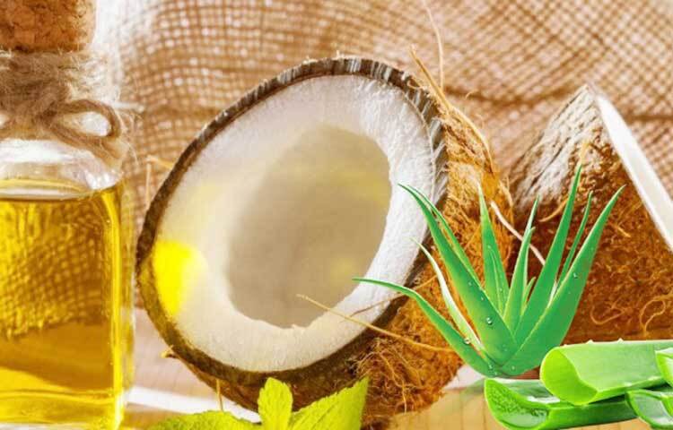 নারকেল তেলের সঙ্গে অ্যালোভেরা জেল মিশিয়ে নিন। ভালো করে সাবান দিয়ে গা পরিষ্কার করে ওই জেল লাগান। কিছুক্ষণ রেখে ধুয়ে ফেলুন। এরপর অবশ্যই অলিভ অয়েল লাগান। শীতকালে নিয়ম করে প্রতিদিন সাবান মাখবেন। নইলে ত্বক রুক্ষ্ম হয়ে যাবে। ছবি: সংগৃহীত