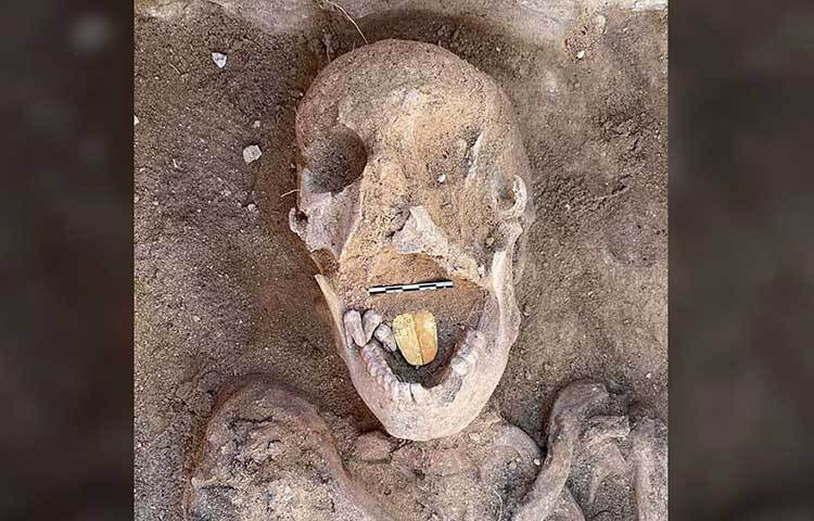 মুখের মধ্যে সোনার জিহ্বা! প্রাচীন মিশরীয়রা অনেক আগেই এমটা করে দেখিয়েছিলেন। ২ হাজার বছর আগের এক মমিতে এমনই নিদর্শন মিলল। ছবি: সংগৃহীত