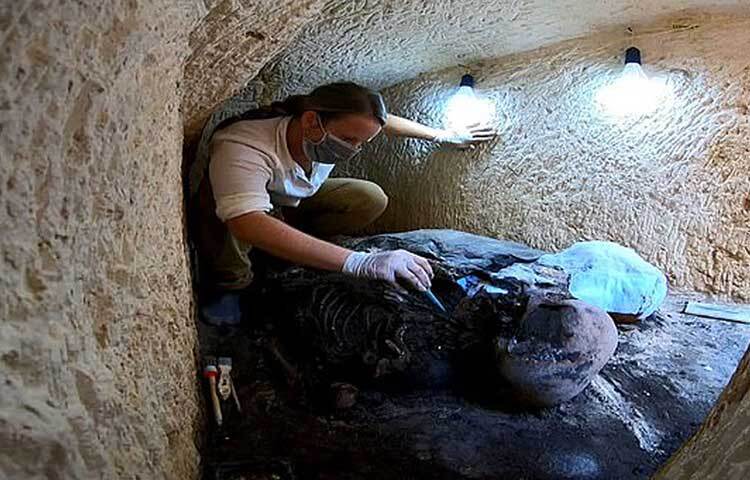 এর আগে, তাপোসিরিস মাগনা থেকেই গত বছর জুলাই মাসে সোনায় মোড়া বেশ কিছু মমি উদ্ধার হয়। ক্লিয়োপেট্রার আমলেই সেগুলো সমাধিস্থ করা হয়েছিল বলে ধারণা প্রত্নতত্ত্ববিদদের। শুধু তাই নয়, ওই মমিগুলোর মধ্যে দুই ব্যক্তি তৎকালীন মিশর সমাজের বিশিষ্ট ব্যক্তি ছিলেন এমনকি রানির সঙ্গেও তাদের ওঠাবসা ছিল বলে ধারণা তাদের। ছবি: সংগৃহীত