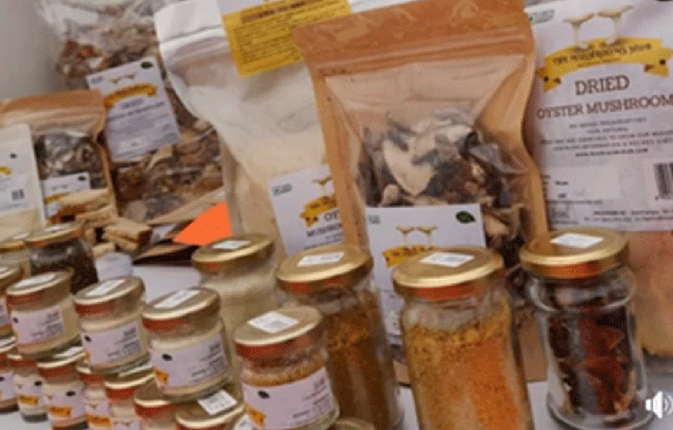 প্রোটিন, ফাইবার এবং মিনারেলের খুব ভাল উৎস মাশরুম। মানুষের সুস্বাস্থ্য নিয়ে কাজ করার যে ইচ্ছা ছিল, সেটাও পূর্ণ হওয়ার সম্ভাবনা মাশরুম চাষে দেখতে পান তিনি।