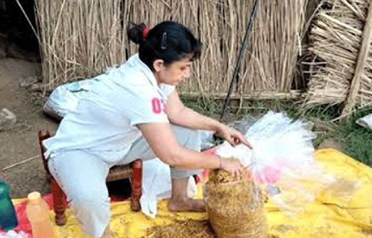 মাসে এক লাখ টাকারও বেশি। ঠিকই পড়ছেন। শুধুমাত্র মাশরুম চাষ করেই মাসে এক লাখ টাকা উপার্জন করছেন তিনি।