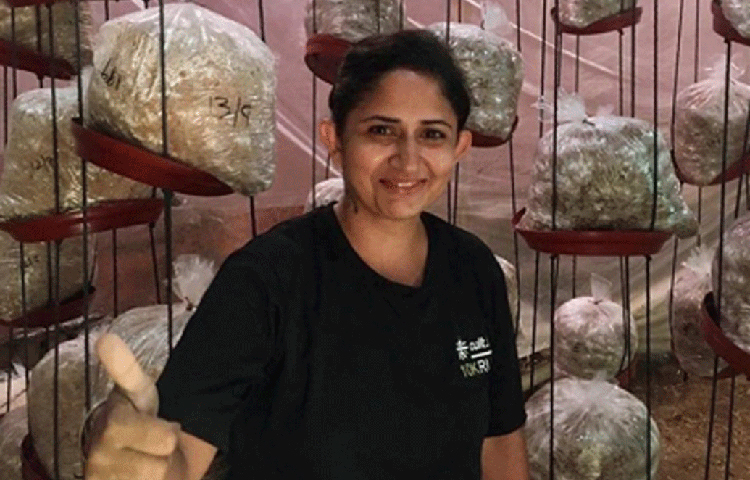 মাশরুম চাষের পদ্ধতি এবং মাশরুমের উপকারিতা নিয়ে প্রশিক্ষণ দেয়া হয় সেখানে।