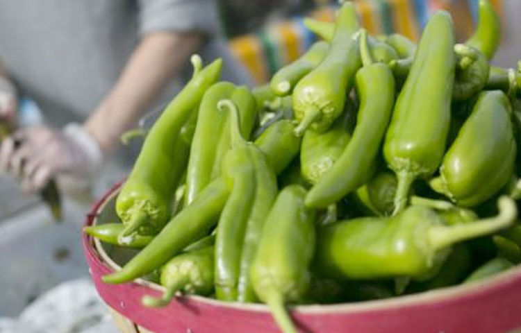 কাঁচা মরিচে আছে অ্যান্টি অক্সিডেন্ট আর এই অ্যান্টি অক্সিডেন্ট আমাদের শরীরে প্রাকৃতিকভাবে ক্যান্সারের বিরুদ্ধে লড়তে সাহায্য করে।
