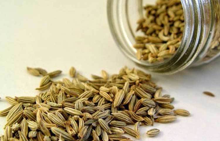 কোষ্ঠকাঠিন্য বা কোলন ক্যান্সারের মতো সমস্যা দূরে সরিয়ে রাখতে মৌরির রস অত্যন্ত কার্যকরী।