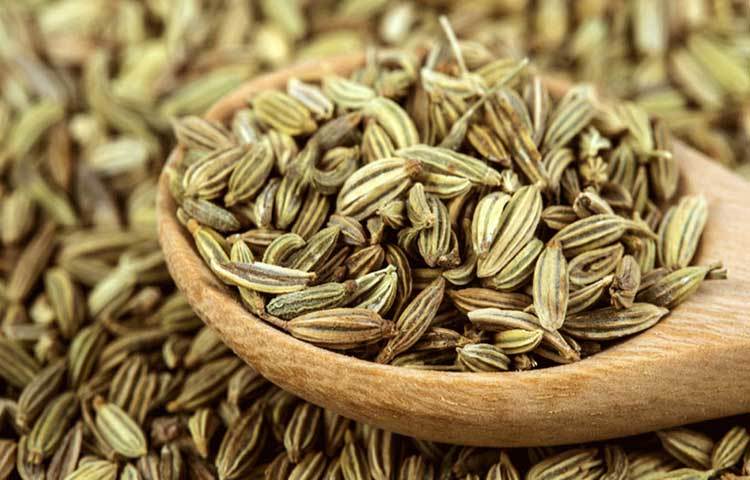 কৃমির সমস্যা থেকে রেহাই পেতে মৌরির রস অত্যন্ত কার্যকরী।