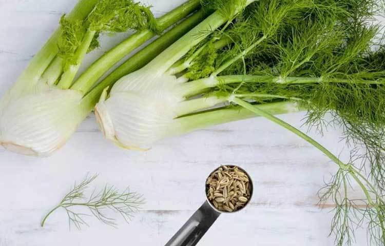 গরম জলে মৌরি ফুটিয়ে তার ভেপার (ভাপ) নিতে পারলে হাঁপানি বা ব্রঙ্কাইটিসের মতো সমস্যায় দ্রুত উপকার পাওয়া যায়।