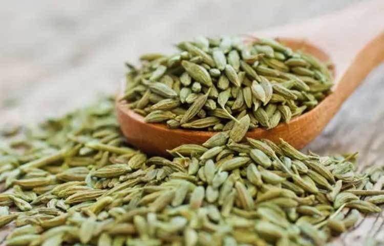 মৌরির রস প্রসূতি মায়ের বুকের দুধ বাড়াতে সাহায্য করে।