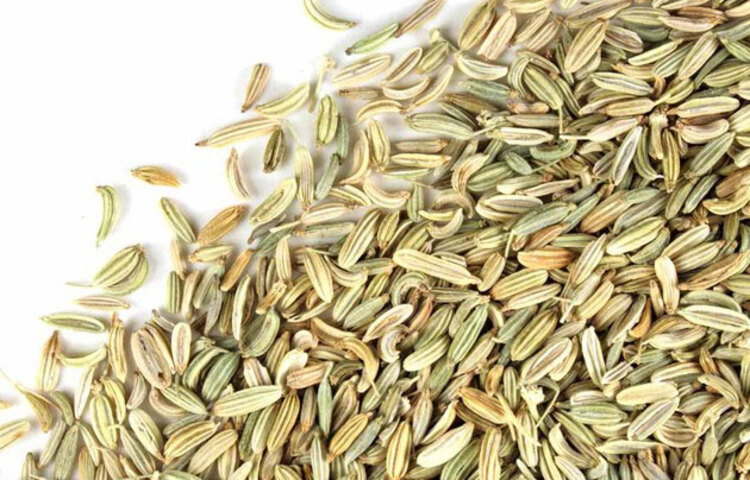 খাবার দ্রুত হজম করতে সাহায্য করে মৌরি। এছাড়াও দূর হয় কোষ্ঠকাঠিন্য। মৌরির মধ্যে থাকে খাদ্য হজমকারী বেশ কিছু ফাইবার। মৌরি চিবোলে যে লালা নির্গত হয় তা যে কোনো খাবারকে হজম করতে সাহায্য করে।