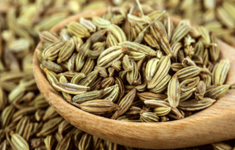 এছাড়াও মৌরির আরও যা যা উপকারিতা রয়েছে। মৌরিতে থাকা এক প্রকার আঁশ কোলন ক্যান্সার প্রতিরোধে সাহায্য করে। মৌরি কৃমিনাশক হিসেবেও কাজ করে।