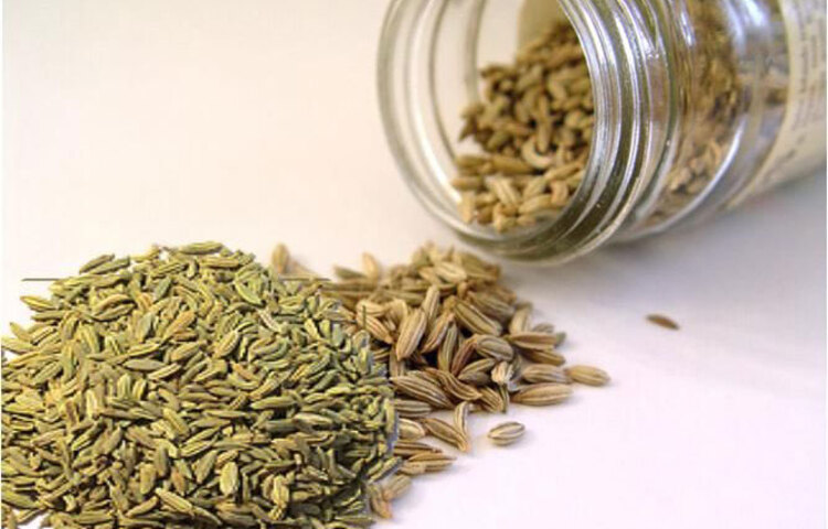 যারা ধূমপান ছাড়তে চাইছেন তারা তাহলে সামান্য ঘি দিয়ে মৌরি ভেজে কৌটাতে ভরে রাখুন। সিগারেট খেতে ইচ্ছে করলেই এক চামচ করে মৌরি ভাজা খান। তাতে নেশা কমবেই।