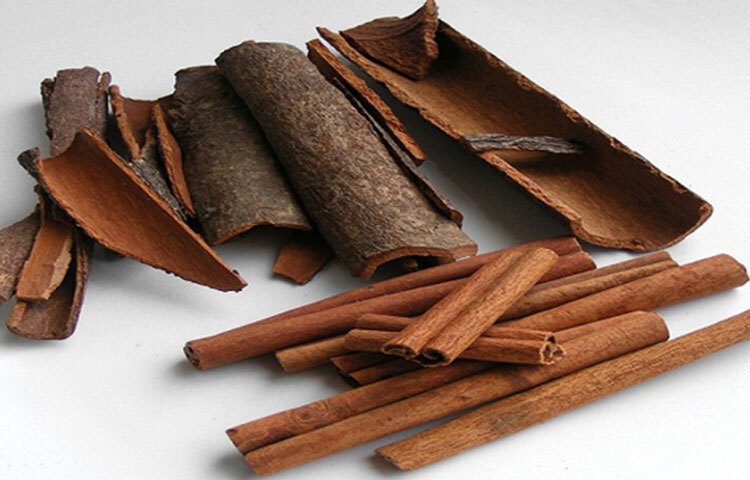 দারুচিনি: এটি মুখে রাখলে দুর্গন্ধ দূর হয়ে যায়। তাছাড়া এর অনেক ঔষধি গুণও রয়েছে। ছবি: সংগৃহীত