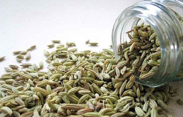 মৌরী: মুখের দুর্গন্ধ দূর করে একটা মিষ্টি ভাব তৈরি করতে পারে মৌরী। আর সেজন্যই বিভিন্ন ডেজার্টে মৌরী ব্যবহার করা হয়। অ্যানথোল নামে এক প্রকার উপকরণ থাকে এর মধ্যে যা দুর্গন্ধ দূর করতে পারে। এর মধ্যে অ্যান্টি ব্যাকটেরিয়াল উপাদান থাকে। পানিতে মৌরী সেদ্ধ করে নিন। সেই পানি মাউথ ওয়াশ হিসেবে ব্যবহার করুন। ছবি: সংগৃহীত