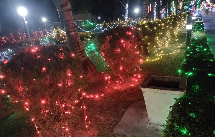 এ নিয়ে জনসাধারণের ব্যাপক আগ্রহ তৈরি হয়েছে। এ আলোকসজ্জা করেছে ঢাকার ইভেন্ট ম্যানেজম্যান্ট রঙ রোদ্দুর। ছবি: মেহেদী হাসান