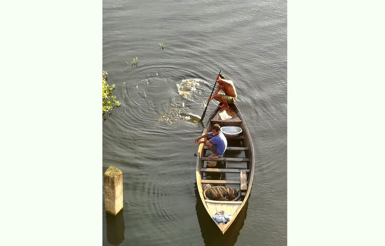 রাজধানীর বাড্ডার ফকিরখালি এলাকা থেকে সম্প্রতি এ ছবি তোলা হয়েছে। ছবি: এস. এম. মাছুম বিল্লাহ