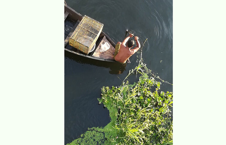 আহা কী মায়াময় প্রকৃতির রূপ! ছবি: এস. এম. মাছুম বিল্লাহ