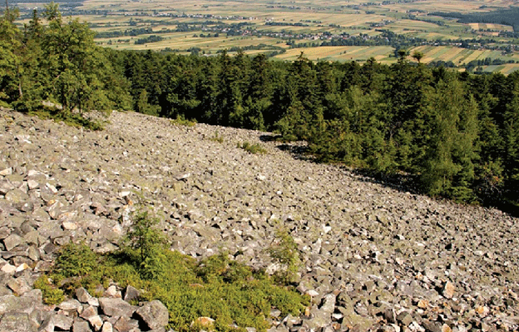পোল্যান্ডে এই অঞ্চলটিতে প্রচুর জীবাশ্মের সন্ধান মিলেছে। এর আগে ৮০ কোটি বছরের পুরনো এক বিশাল সামুদ্রিক প্রাণীর জীবাশ্ম উদ্ধার করেছিলেন বিজ্ঞানীরা।