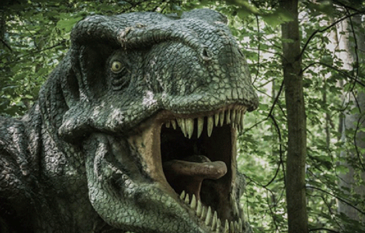 টিরানোসরাসের নাম শুনলেই পিলে চমকে ওঠে কিছুটা। কিন্তু জানেন কি এই টিরানোসরাসদের থেকেও ভয়ানক প্রাণীর অস্তিত্ব ছিল? তার নাম প্লিওসর।