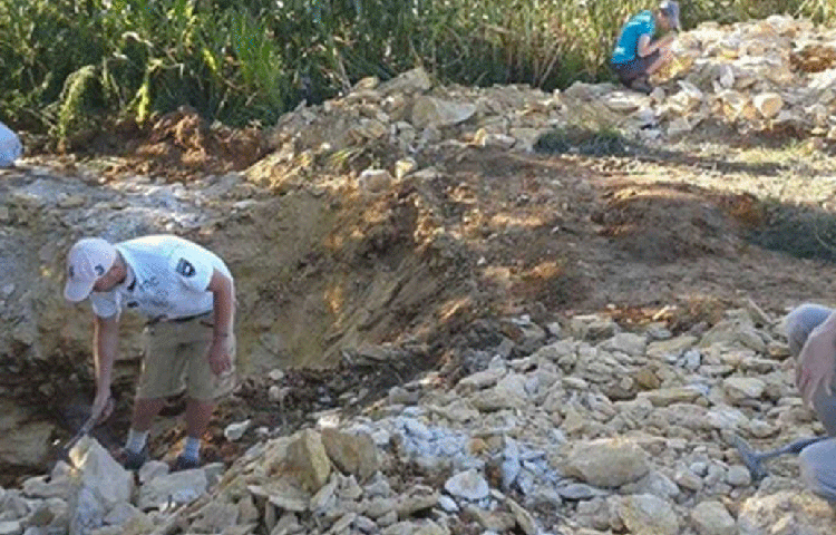 এই নতুন অনুসন্ধানের কথা ‘প্রসেডিংস অব দ্য জিওলজিস্ট অ্যাসোসিয়েশন’ নামক জার্নালে প্রকাশিত হয়েছে। এই খোঁজ বিজ্ঞানের পক্ষে খুবই গুরুত্বপূর্ণ, মনে করছেন বিজ্ঞানীরা।
