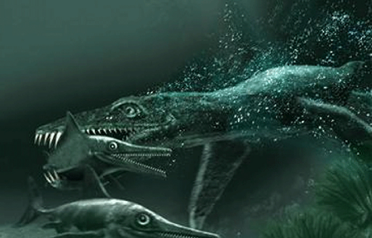 তবে বিশালাকার এই প্লিওসররা সমুদ্রে বাস করত। সাঁতারের সুবিধার জন্য তাদের পাগুলো ছিল মাছের পাখনার মতো।