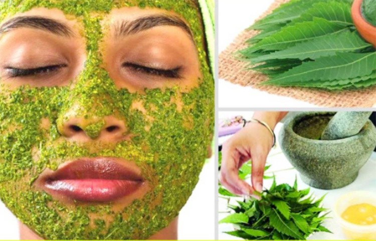 নিম তেলে প্রচুর পরিমাণে ভিটামিন ই এবং ফ্যাটি অ্যাসিড রয়েছে যা ত্বক এবং চুলের জন্য খুবই উপকারী। নিমপাতা ব্যাকটিরিয়া ও ফাঙ্গাস বিরোধী, নিয়মিত ত্বকে নিমপাতা বাটা লাগালে ত্বকে কোনোরকম ব্যাকটেরিয়া বা ফাঙ্গাসের সংক্রমণ হয় না। ব্রণর সমস্যাও দূর করে নিমপাতা। পাশাপাশি, ত্বকের উজ্জলতা বাড়াতে নিয়মিত নিমপাতার সঙ্গে কাঁচা হলুদ ভাল করে বেটে মাখুন। ছবি: সংগৃহীত