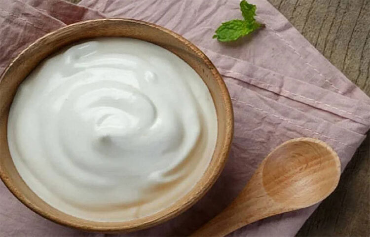 টকদইয়ে আছে আলফা হাইড্রক্সি অ্যাসিড ও ল্যাকটিক অ্যাসিড। ফলে পোরস উন্মুক্ত করে দূষিত কণা সরিয়ে দেয়। টকদইয়ের জিঙ্ক মৃদু অ্যাস্ট্রিজেন্ট পোরস শক্ত করে তৈলাক্তভাব কমিয়ে দেয়। কয়েক চামচ টকদইয়ে টমেটোর রস মিশিয়ে নাকে মাখুন। তারপর পানি দিয়ে ধুয়ে। ছবি: সংগৃহীত