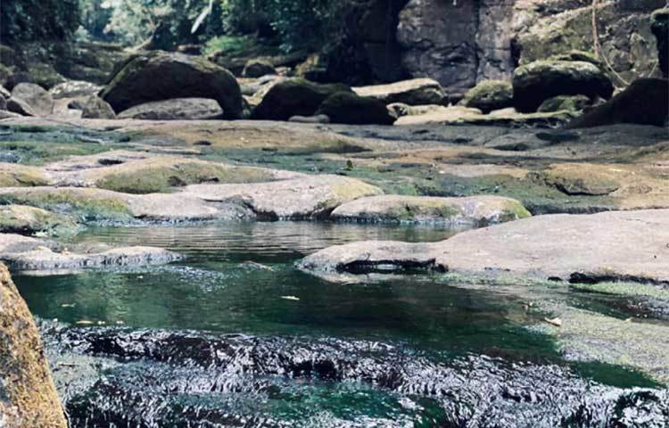 চেরাপুঞ্জির মাওলিলং-গ্রামটিও নুসরাত যে ঘুরে দেখেছেন তা তার ইনস্টাগ্রাম লোকেশন থেকেই জানা যাচ্ছে।