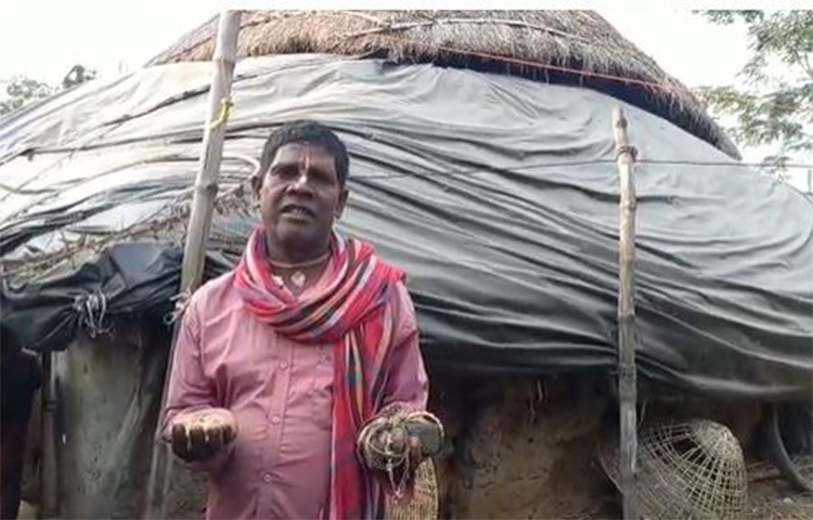 এরই মধ্যেই সারাবিশ্বে কয়েক মিলিয়ন মানুষ এই ‘কাঁচা বাদাম গান’ শুনেছেন, দেখেছেন। এমনকি রিমিক্সও বানিয়েছেন। ভাইরাল হয়ে যাওয়া সেই ‘কাঁচা বাদাম গান’-এর স্রষ্টা ভুবন বাদ্যকরের বাড়ি ভারতের বীরভূমের দুবরাজপুর ব্লকের লক্ষ্মীনারায়ণপুর পঞ্চায়েতের কুড়ালজুরি গ্রামে। ছবি: সংগৃহীত