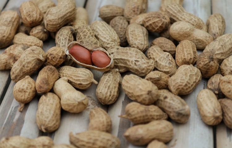 চিনা বাদাম: চিনা বাদাম গাছের বাদাম নয়। এটি শিমজাতীয় পরিবারের অন্তর্ভুক্ত। তবে গাছের বাদামের মতো এতেও একই জাতীয় পুষ্টি রয়েছে। ১,২০,০০০ লোকের উপর পরিচালিত এক গবেষণায় দেখা গেছে যে চিনাবাদাম গ্রহণের ফলে মৃত্যুর ঝুঁকি কম থাকে। অন্য একটি সমীক্ষায় দেখা গেছে যে, যেসব নারী সপ্তাহে পাঁচদিন চিনাবাদাম খেয়েছিলেন তাদের টাইপ ২ ডায়াবেটিসের ঝুঁকি কম ছিল। এটি হাঁপানির সমস্যা দূর করতে সাহায্য করে। একমুঠো চিনাবাদামে ১৭৬ ক্যালোরি রয়েছে।