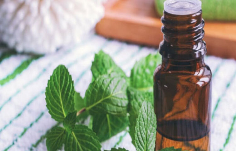 গোলমরিচের তেল: হজমের সমস্যায় কাজে দেয় গোলমরিচের তেল। এটি পেট পরিষ্কার ও ঠান্ডা করে। হজমে সাহায্য করে। গ্যাসের সমস্যা বা পেট ফুলে যাওয়া, এইরকম নানা অস্বস্তি থেকে মুক্তি দেয় এই তেল।