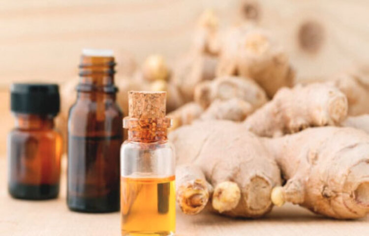 জিঞ্জার এসেন্সিয়াল অয়েল (আদার তেল): বমি-বমি ভাব, বদহজম কিংবা গ্যাসের সমস্যা হলে, মুক্তি দিতে পারে জিঞ্জার এসেন্সিয়াল অয়েল। এই তেল মাথাব্যথাও কমায়। অনেক সময় আদার মধ্যে কয়েক ফোঁটা লেবুর রস দিয়ে খাওয়া যেতে পারে। এতে পেট ফুলে যাওয়া বা পেট ব্যথার ক্ষেত্রে উপশম হয়।