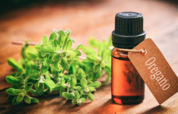 ওরিগ্যানো এসেন্সিয়াল অয়েল: পেটে জ্বালা-জ্বালা ভাব? তা হলে কাজে দিতে পারে এই ওরিগ্যানো এসেন্সিয়াল অয়েল। এটি খুব দ্রæত কাজ করে। আপনার অবসাদ বা ক্লান্তি দূর করতেও এই তেল মোক্ষম দাওয়াই।