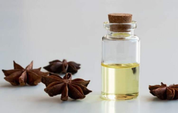 অ্যানিস এসেন্সিয়াল অয়েল: অন্ত্রের সমস্যা বা পেট ব্যথার ক্ষেত্রে এই তেল খুব উপকারি। এ ছাড়াও পেট ফুলে যাওয়া, ডায়রিয়া, কোষ্ঠকাঠিন্য, গ্যাসের সমস্যাতেও কাজ দেয় এই তেল।